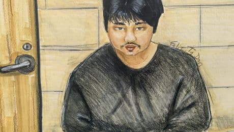 Suspect in Vancouver Lapu Lapu Day attack appears in court