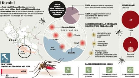 West nile, quanti nuovi casi oggi? Il bollettino: contagi dal Lazio al Veneto. Ed è allarme per quelli "nascosti"