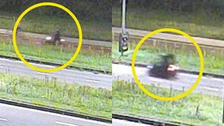 Girl, 17, is stabbed to death while calling cops to report being followed on her bike ride home in Holland as cops arrest asylum seeker 'who raped woman days earlier'