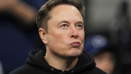 Elon Musk: Tech-Milliardär unterstützt AfD im Kölner Kommunalwahlkampf