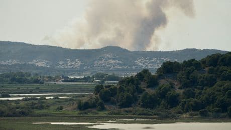 Aude : d’importants feux de forêt ravagent plus de 100 hectares, un camping évacué