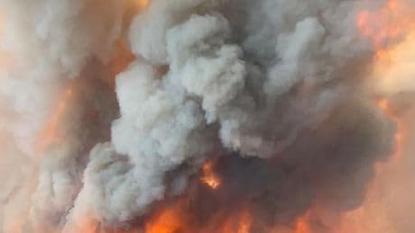 Kanada: Waldbrände in Kanada erreichen weitere Provinzen