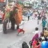 Moment out-of-control elephants turn on their handlers and trample crowd at Indian festival