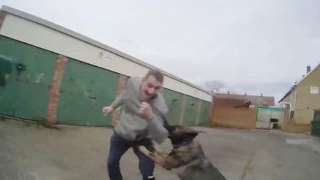 Moment police dog sinks teeth into snivelling thug  after he brutally attacked woman in street robbery