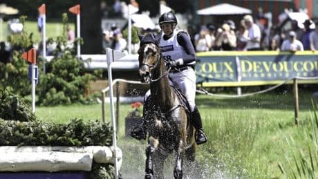 Pferd stirbt nach Unfall bei deutscher Meisterschaft