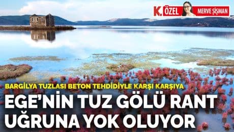Ege’nin Tuz Gölü rant uğruna yok oluyor