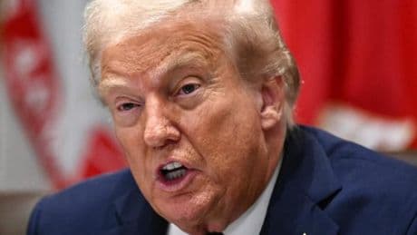 Donald Trump saisit la Cour suprême pour sauver les droits de douane qu’il a mis en place, jugés illégaux