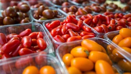 Tomates: des producteurs français et marocains signent une déclaration d'intention commune
