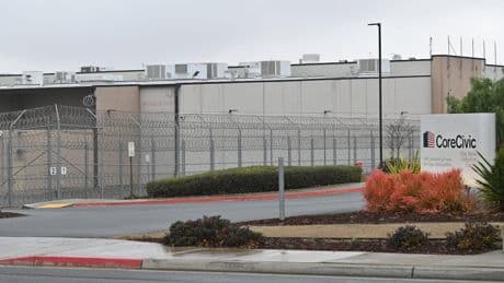 Er lebt sogar in den USA - 60 Tage! Deutscher aus Abschiebehaft entlassen