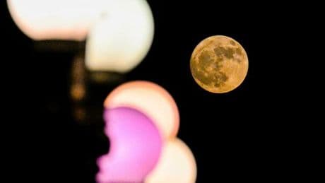 Luna piena delle fragole, in arrivo stasera il plenilunio (rosso) più a Sud degli ultimi 18 anni: ecco quando e dove vederlo