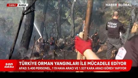 Bursa'da yangınla mücadele sürüyor: 110 hektar etkilendi