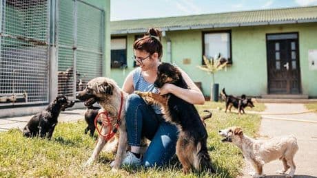 Paula Calvo, veterinaria: “Hay perros entrenados que pueden detectar parkinson a través del olfato, incluso antes de que aparezcan los síntomas motores”