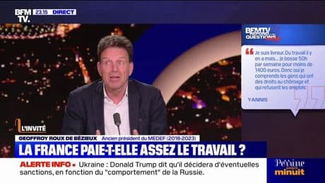 Pour Geoffroy Roux de Bézieux, ancien président du MEDEF, "la TVA sociale reste une bonne idée"