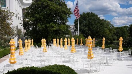 Trump to host top tech CEOs — except Musk — at White House dinner Thursday