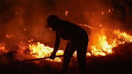 Otlukta başlayan yangın ormana sıçradı