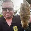 British ARMY now called in to rodent-ridden Birmingham as pest control expert labels city 'apocalyptic': Cash-strapped Labour-run council declares major incident over bin strikes
