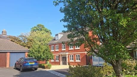 Homeowner fined £116,000 for chopping down tree in garden more than decade ago
