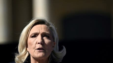 Procès du RN : le parti et 12 personnes condamnées, dont Marine Le Pen, ont fait appel du jugement