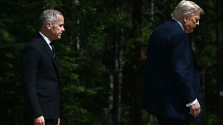 Droits de douane : Donald Trump cible le Canada et avertit l'Union européenne