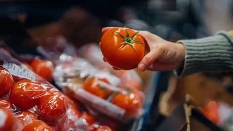 Urgent tomato health alert as 29 Brits struck down in salmonella outbreak