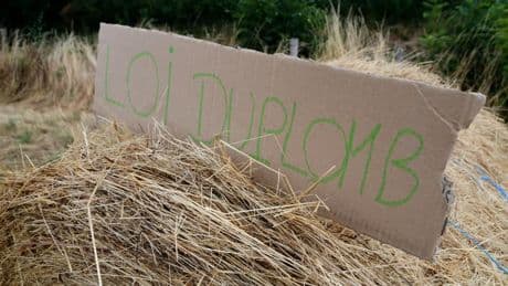 Pourquoi le sujet de l'acétamipride va revenir sur la table malgré la censure partielle de la loi Duplomb