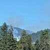 Terrifying new details emerge from Idaho shooting ambush after sniper-wielding gunman lit 'blaze as bait'