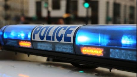 Pig heads left outside Paris mosques in ‘despicable’ act