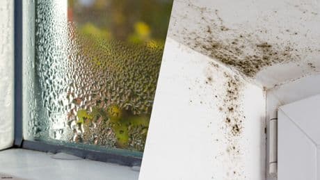 Einfacher Trick: So vermeiden Sie im Sommer Schimmel im Keller