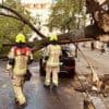 Schweres Unwetter über Berlin: In Parks droht am Freitag Lebensgefahr, Feuerwehr zählt mehr als 860 Einsätze