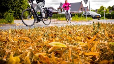 Zomerse weer gaat op pauze: stevige buien en veel wind op komst