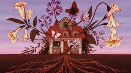Contributor: My last garden