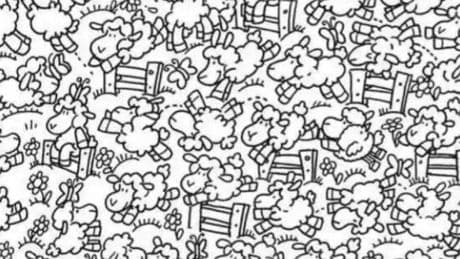 Only geniuses can spot sneaky chicken amid flock of sheep in 8 seconds or less