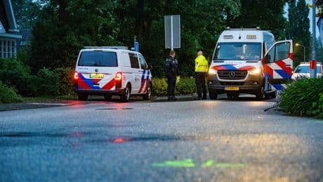 Verdachte opgepakt na dodelijke aanrijding in Hattem