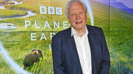 'I tried Sir David Attenborough's 10-minute practice to boost my mental health'