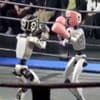 Humanoid robots fight in Chinese kick-boxing competition