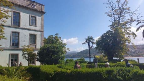 En la isla de San Simón