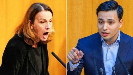 Österreich: FPÖ-Abgeordnete sorgt mit Zwischenruf im Parlament für Eklat