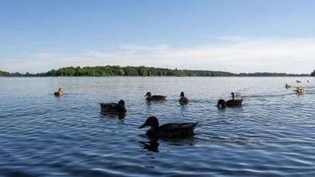 Badegewässer: Gute Wasserqualität zum Baden in Brandenburg - mit Ausnahmen