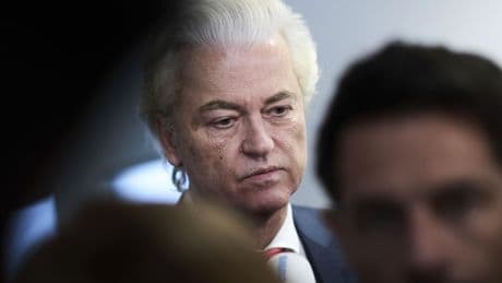 The Dutch government has collapsed. What happens next?