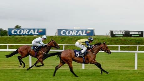 Newsboy's horse racing selections for Monday's three meetings, including Chepstow Nap