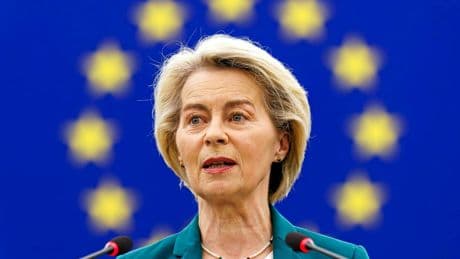 Budget européen : 517 cases pour surveiller chaque euro