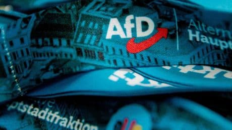 Öffentlicher Dienst: Potenzielle Hochstufung würde Druck auf AfD-Mitglieder erhöhen