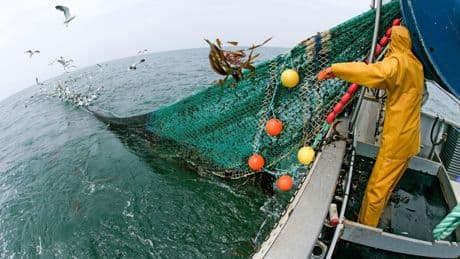 Sommet sur les océans : quatre questions pour comprendre la pêche illégale