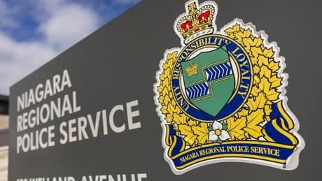 8 horses found stabbed on Ontario farm in ‘disturbing act of animal cruelty’