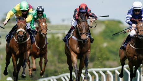 Newsboy's horse racing selections for Wednesday's five meetings, including Brighton Nap