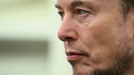 USA: Musk: USA sind Einparteienstaat der  „Schweinchen-Dick-Partei“