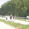 Équitation. Internationaux d’endurance équestre à Landivisiau : Arthur Desprez s’impose au sprint