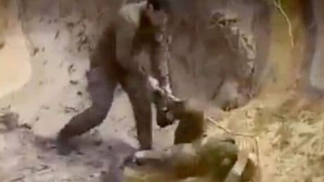Horror as Russian soldier beats comrade in violent assault as army morale cracks