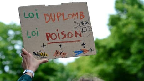 Loi Duplomb : en commission mixte paritaire, RN et macronistes main dans la main pour acter les reculs écologiques