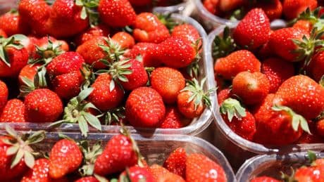 Pourquoi il ne faut pas conserver ses fraises au réfrigérateur